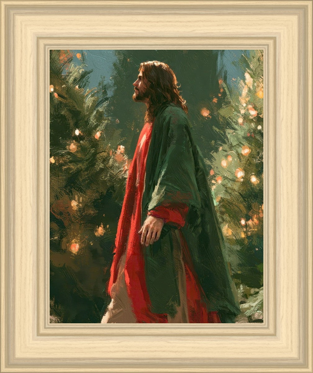 Light of the Season