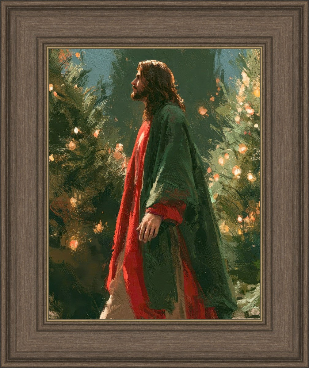 Light of the Season