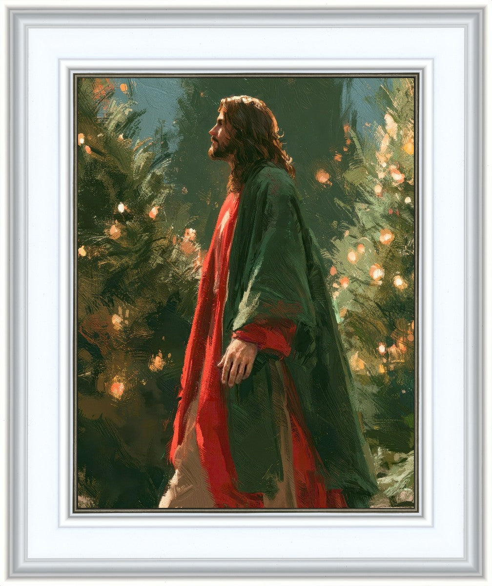 Light of the Season