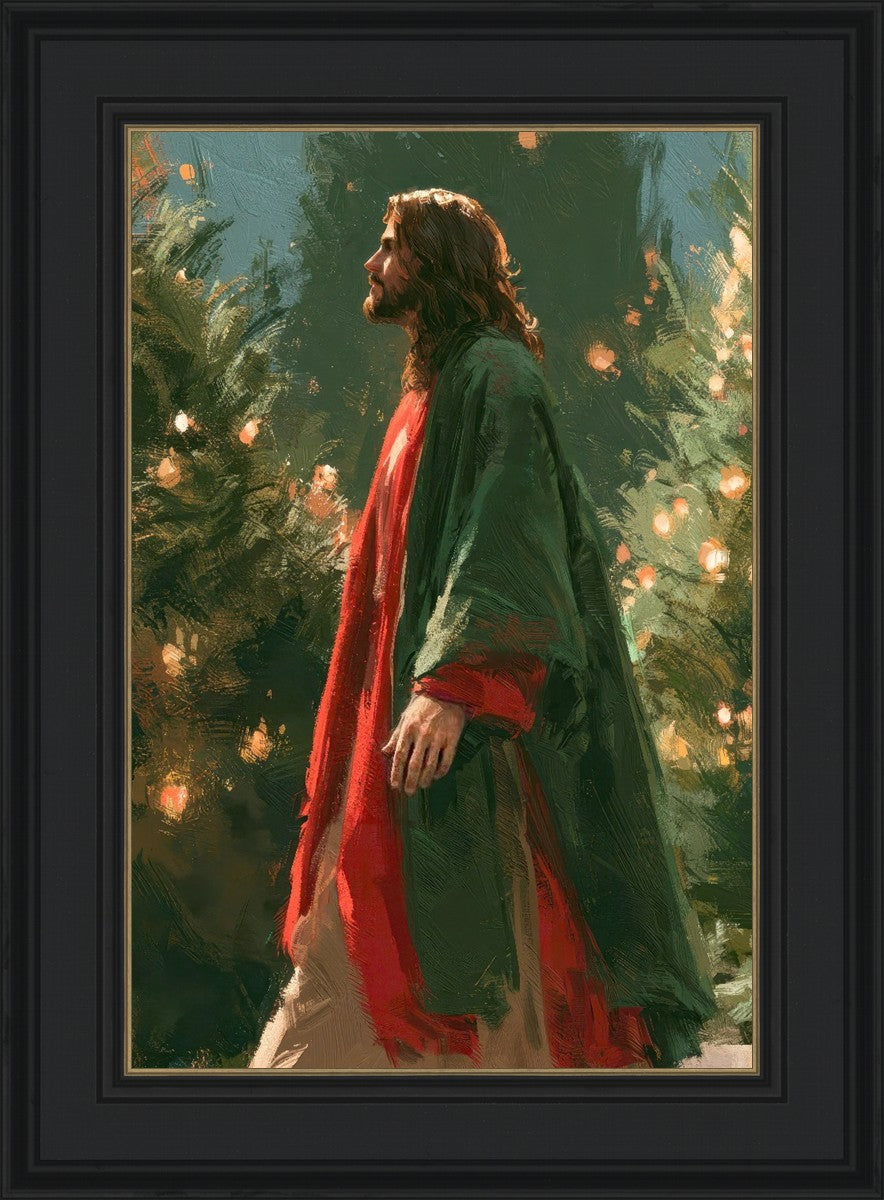 Light of the Season