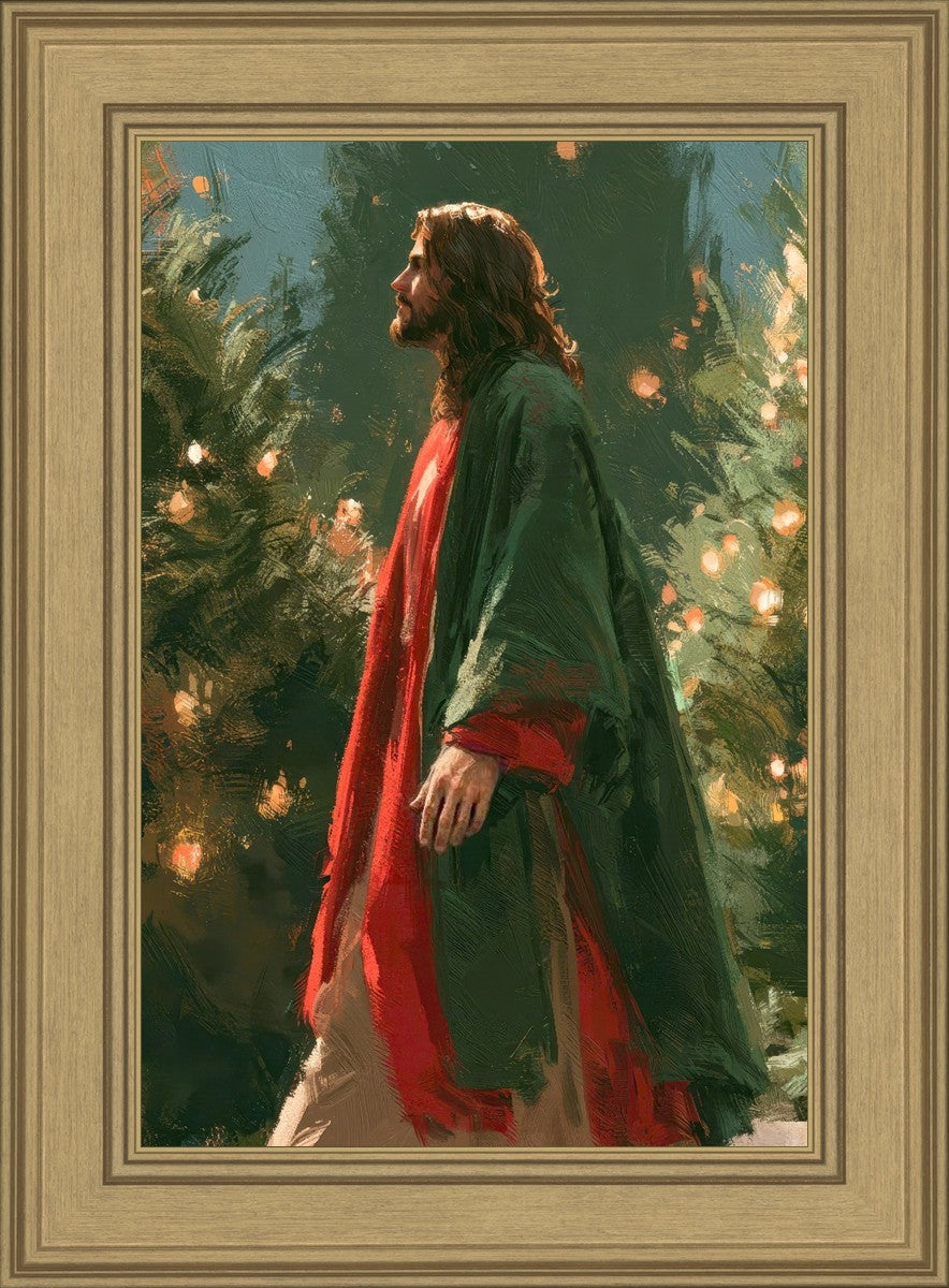 Light of the Season