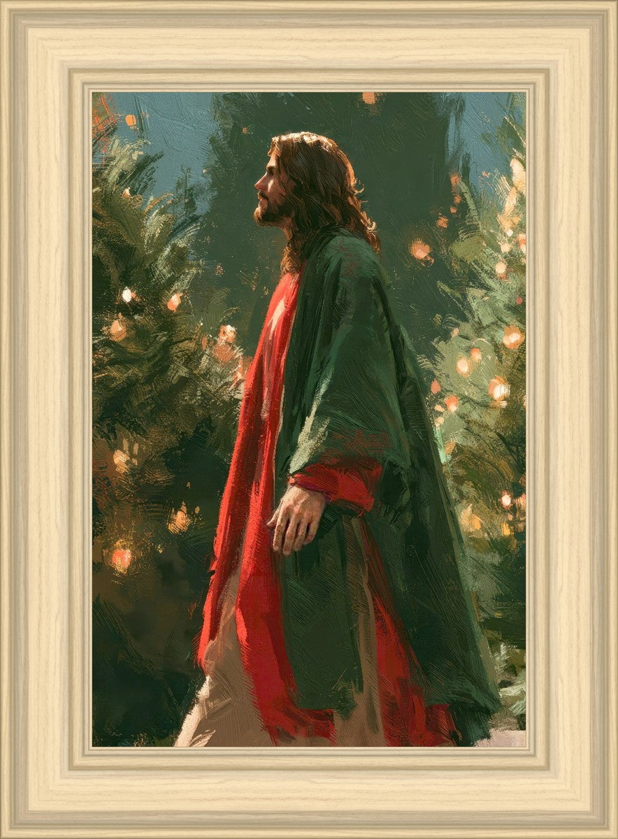 Light of the Season