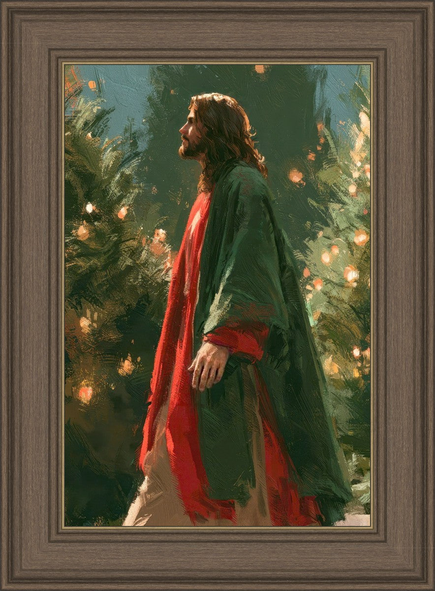 Light of the Season