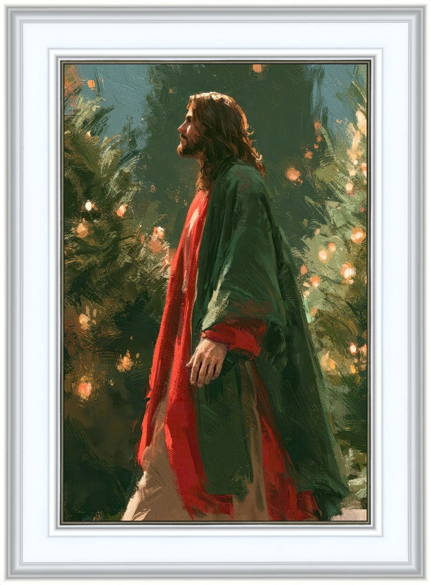 Light of the Season