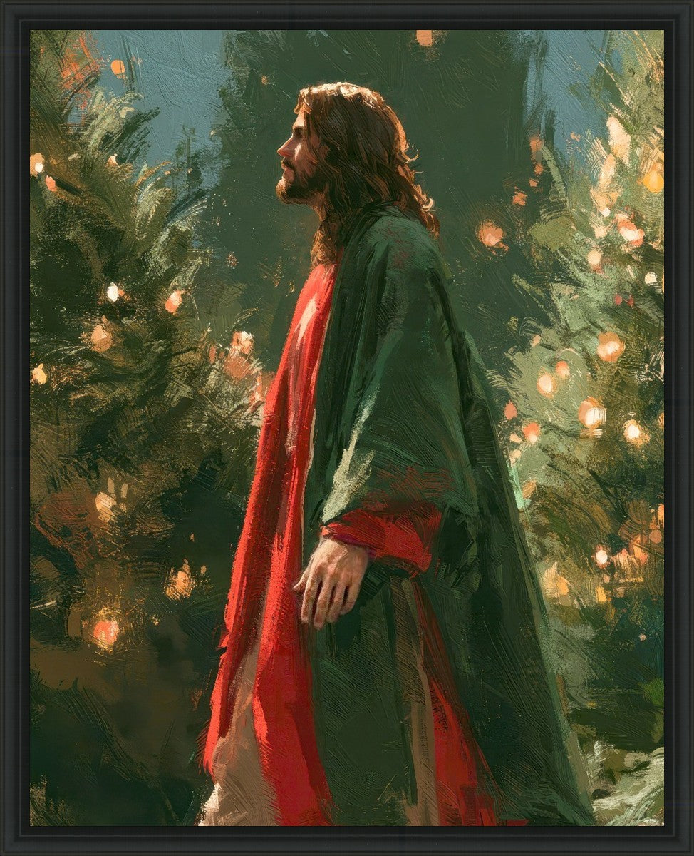 Light of the Season