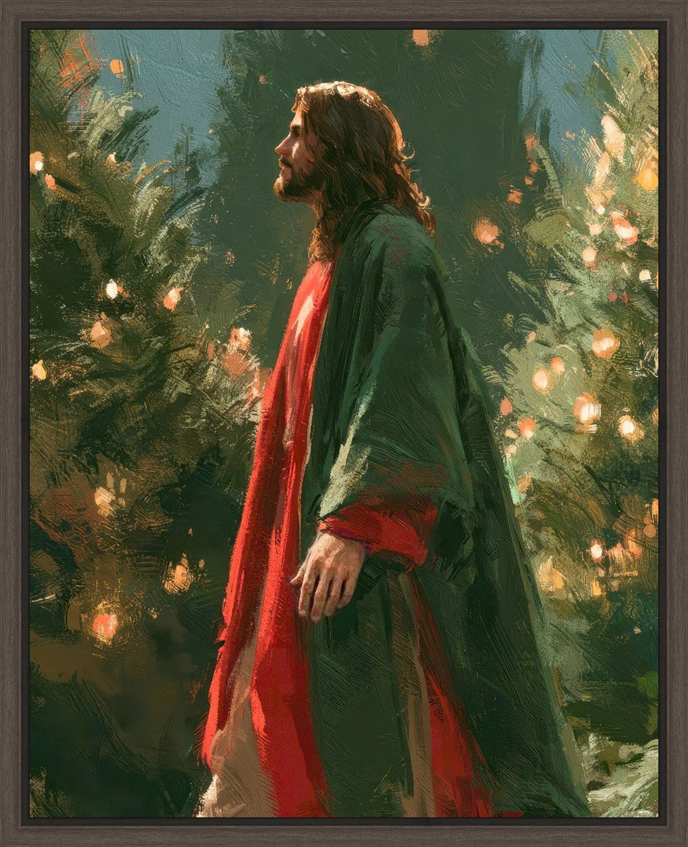 Light of the Season