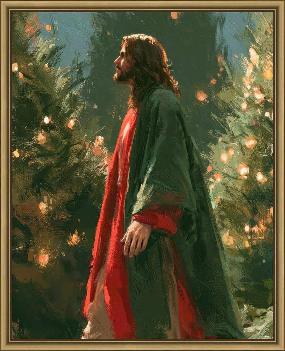Light of the Season