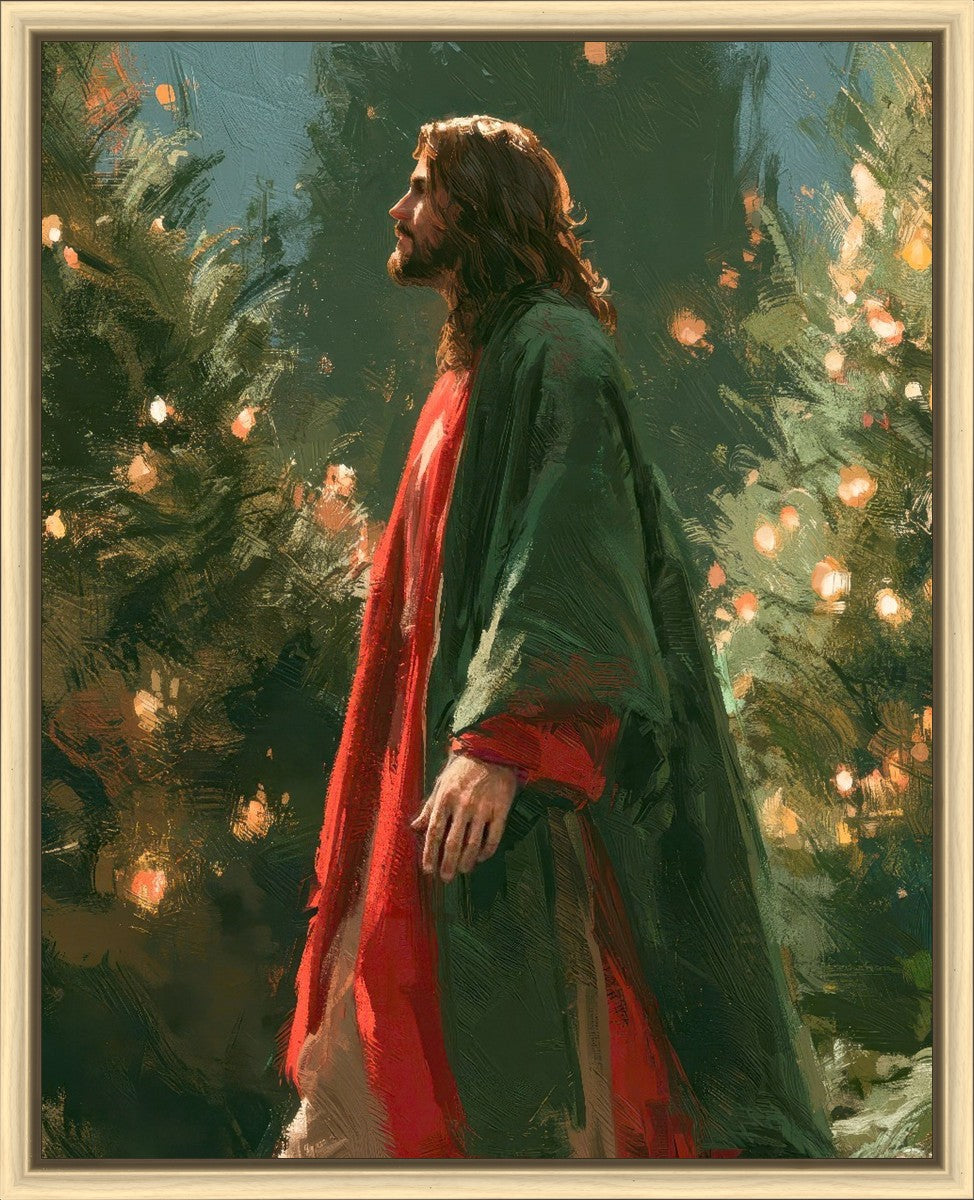 Light of the Season