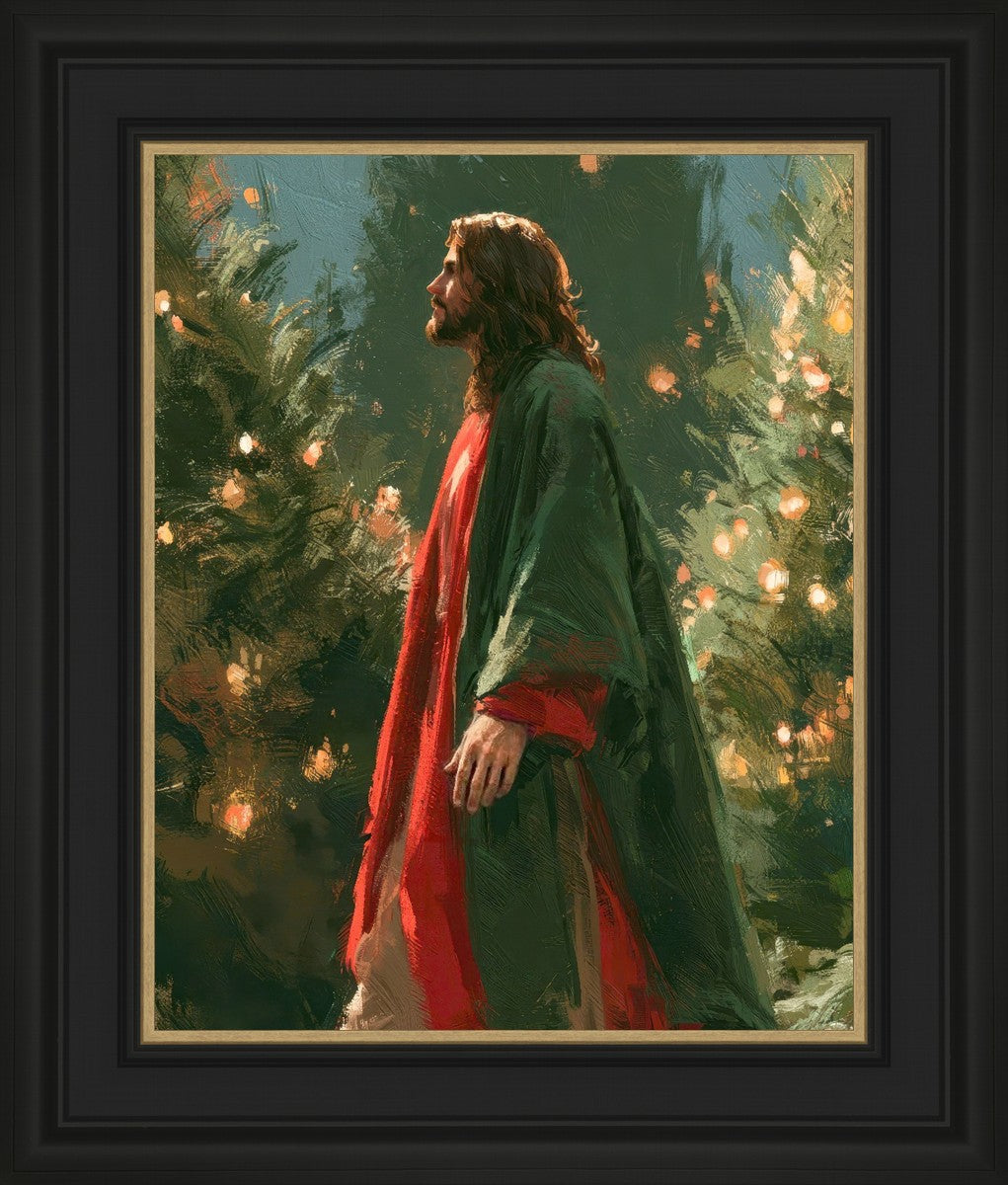 Light of the Season