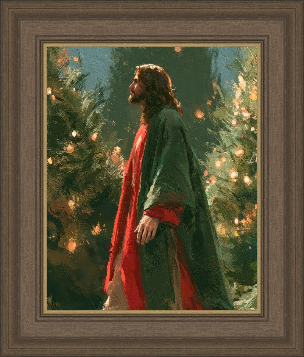 Light of the Season