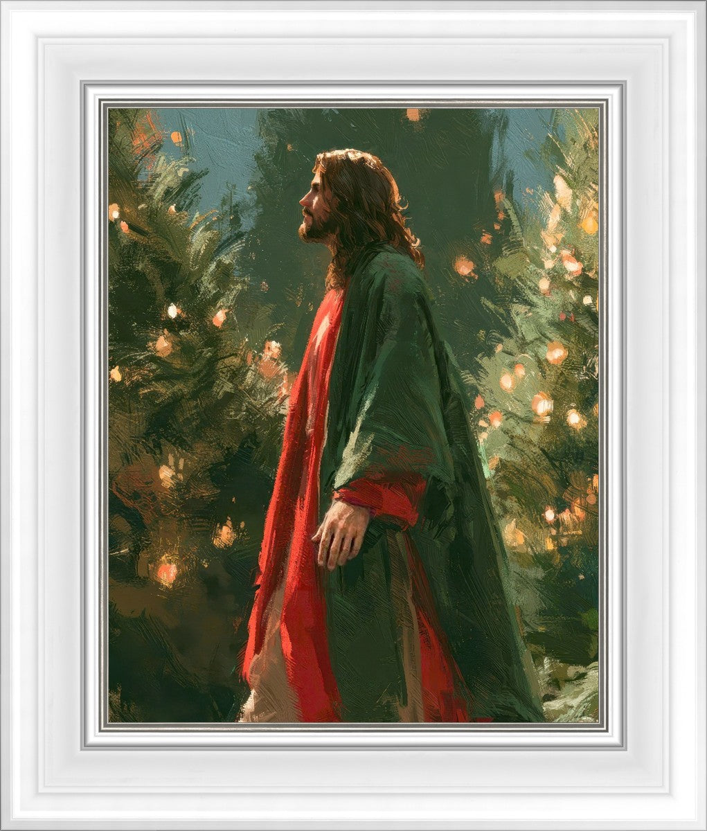 Light of the Season