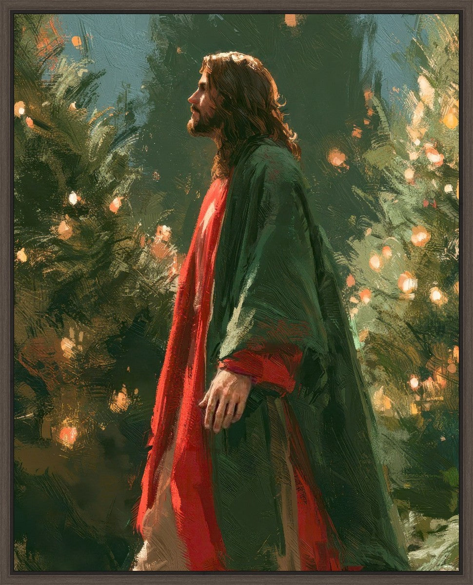 Light of the Season
