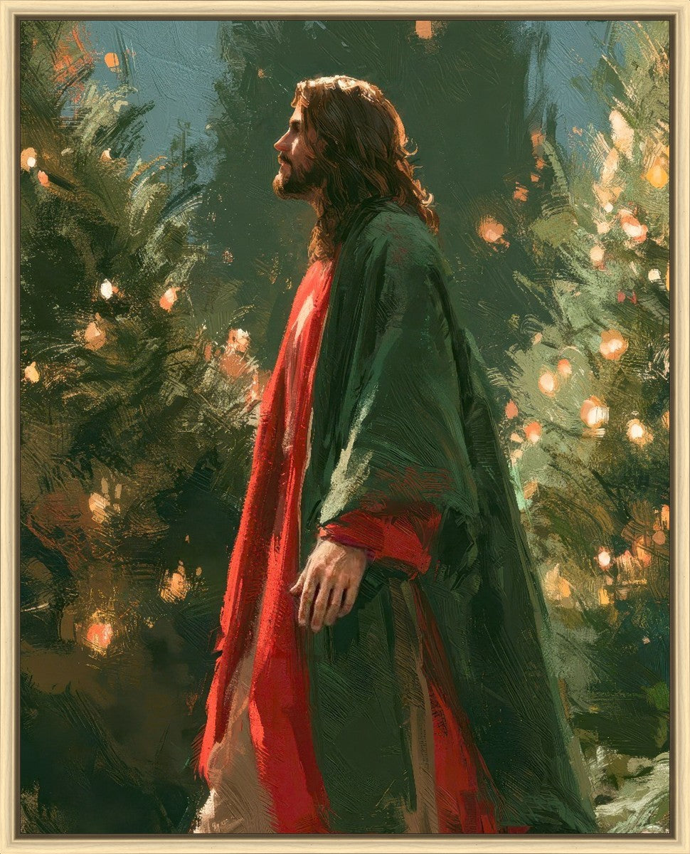 Light of the Season