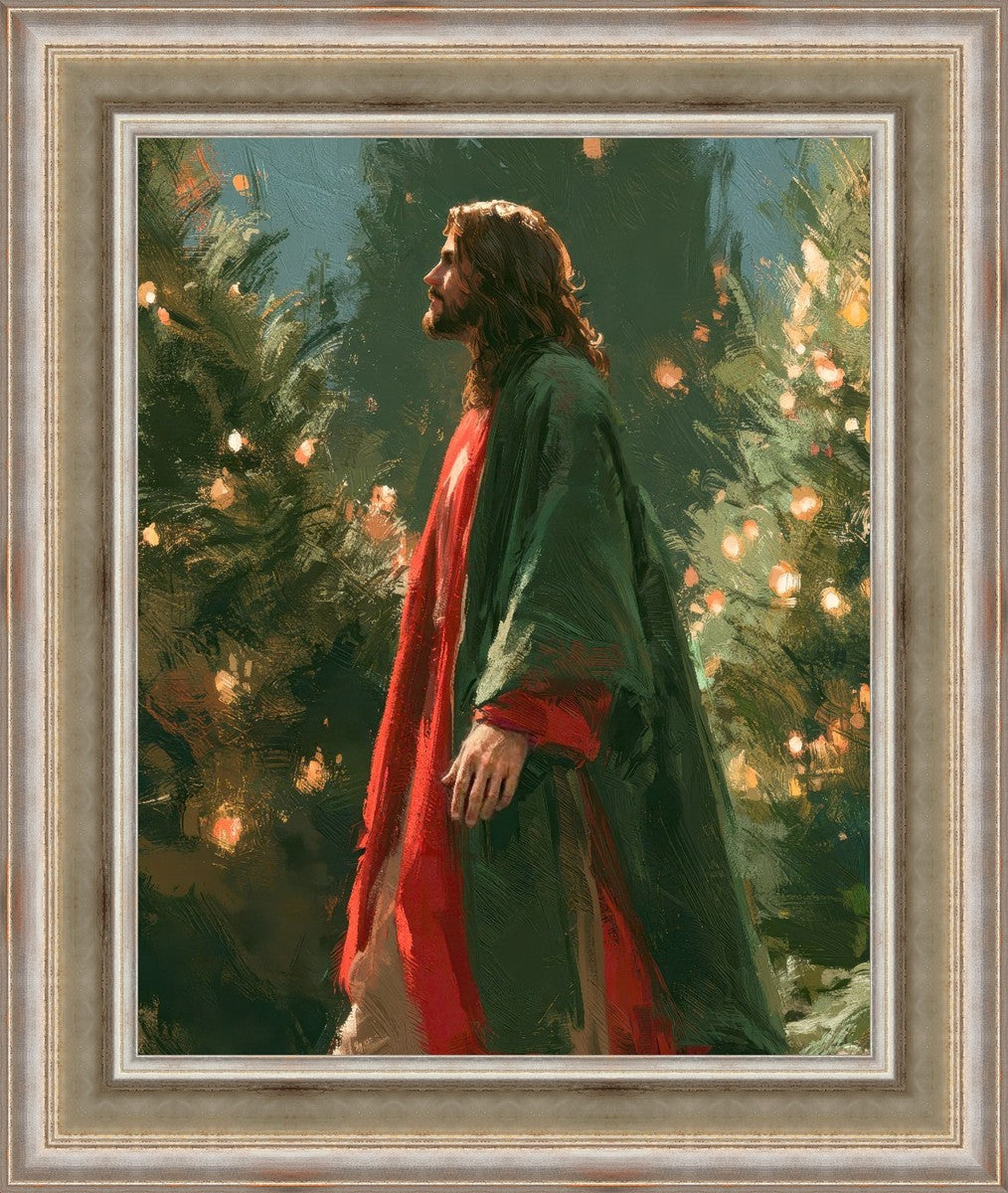 Light of the Season