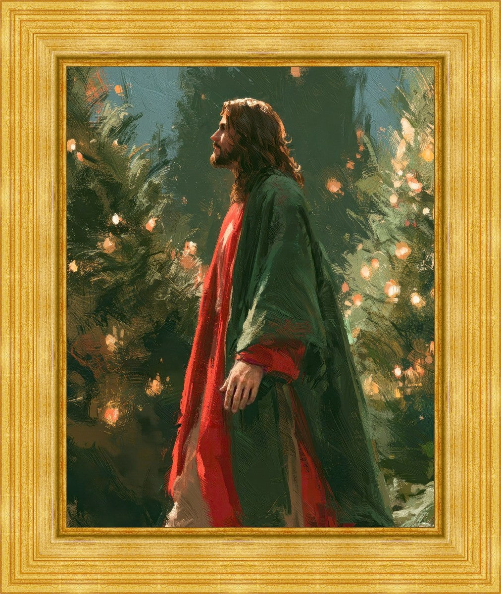 Light of the Season
