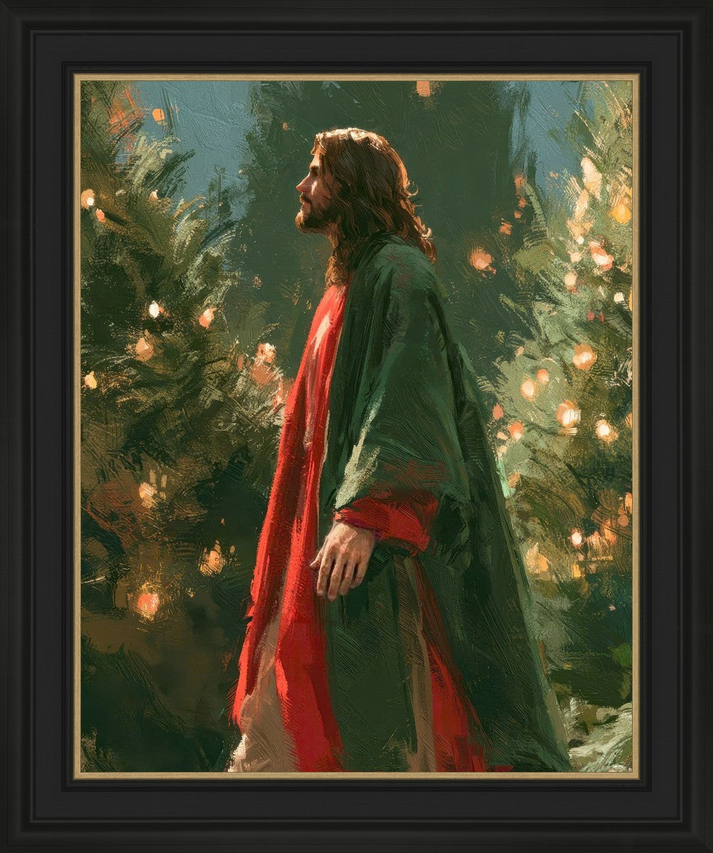Light of the Season