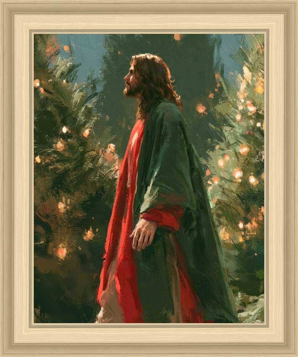 Light of the Season