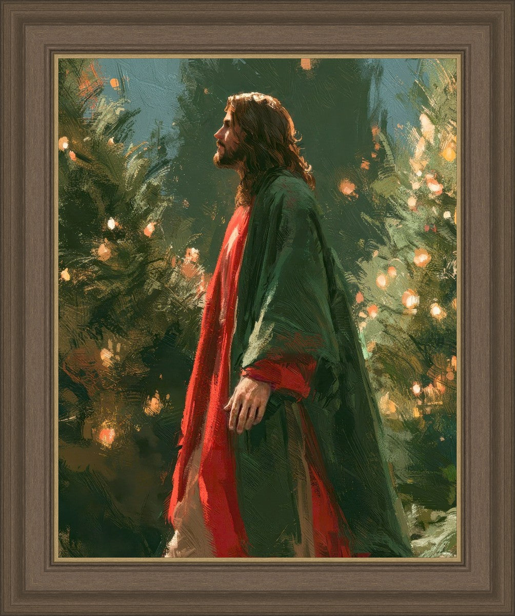 Light of the Season