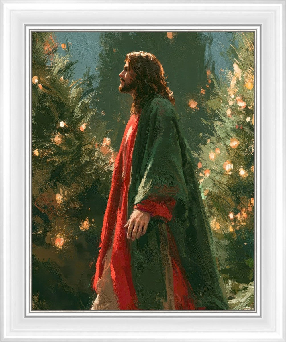 Light of the Season