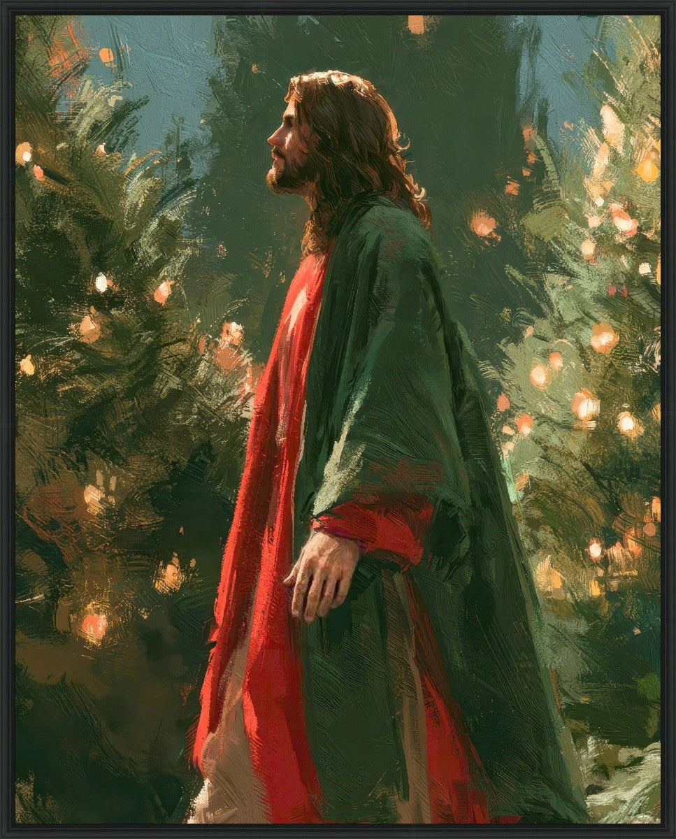 Light of the Season