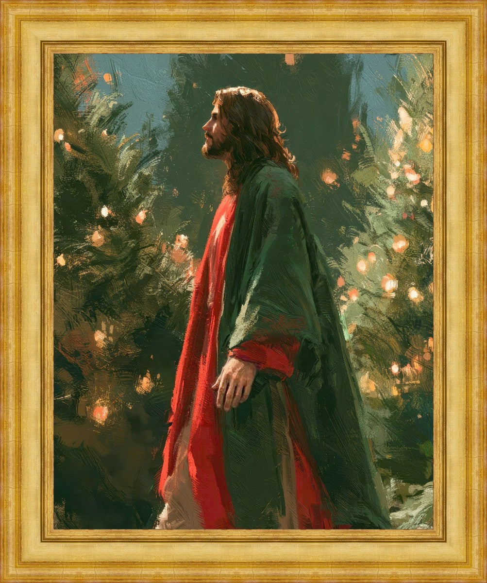 Light of the Season