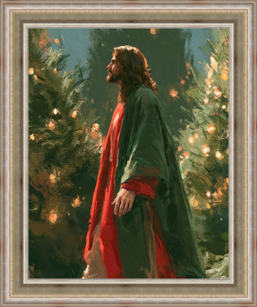 Light of the Season