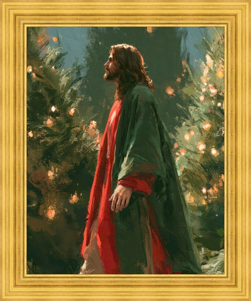Light of the Season