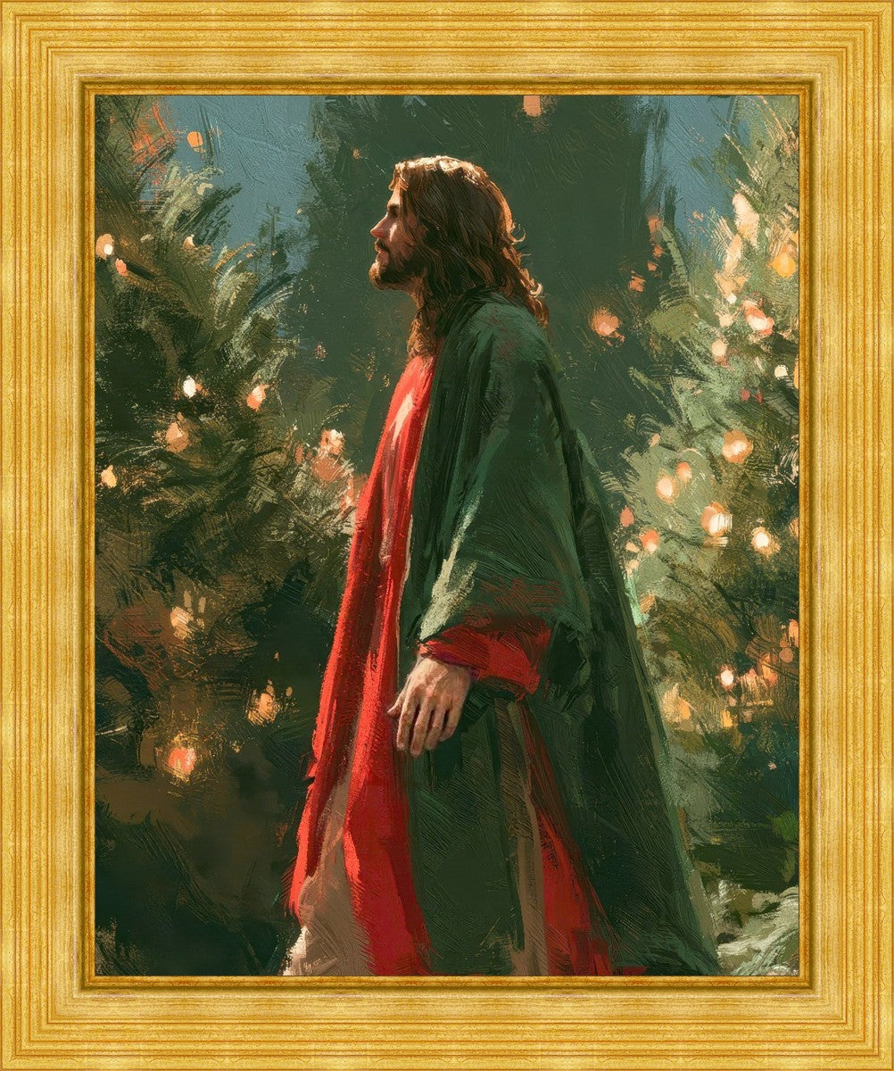 Light of the Season