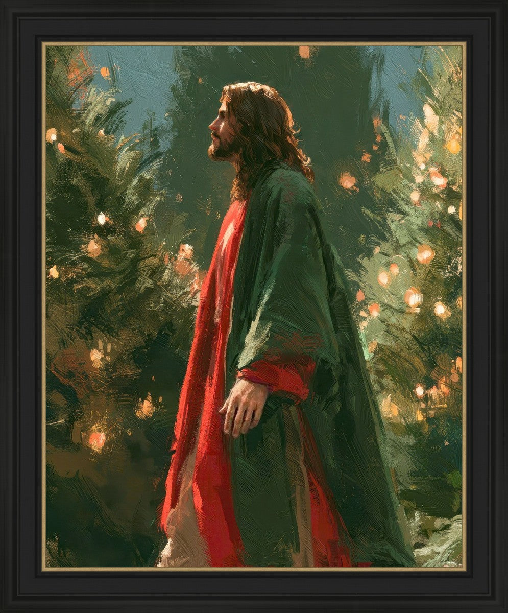 Light of the Season