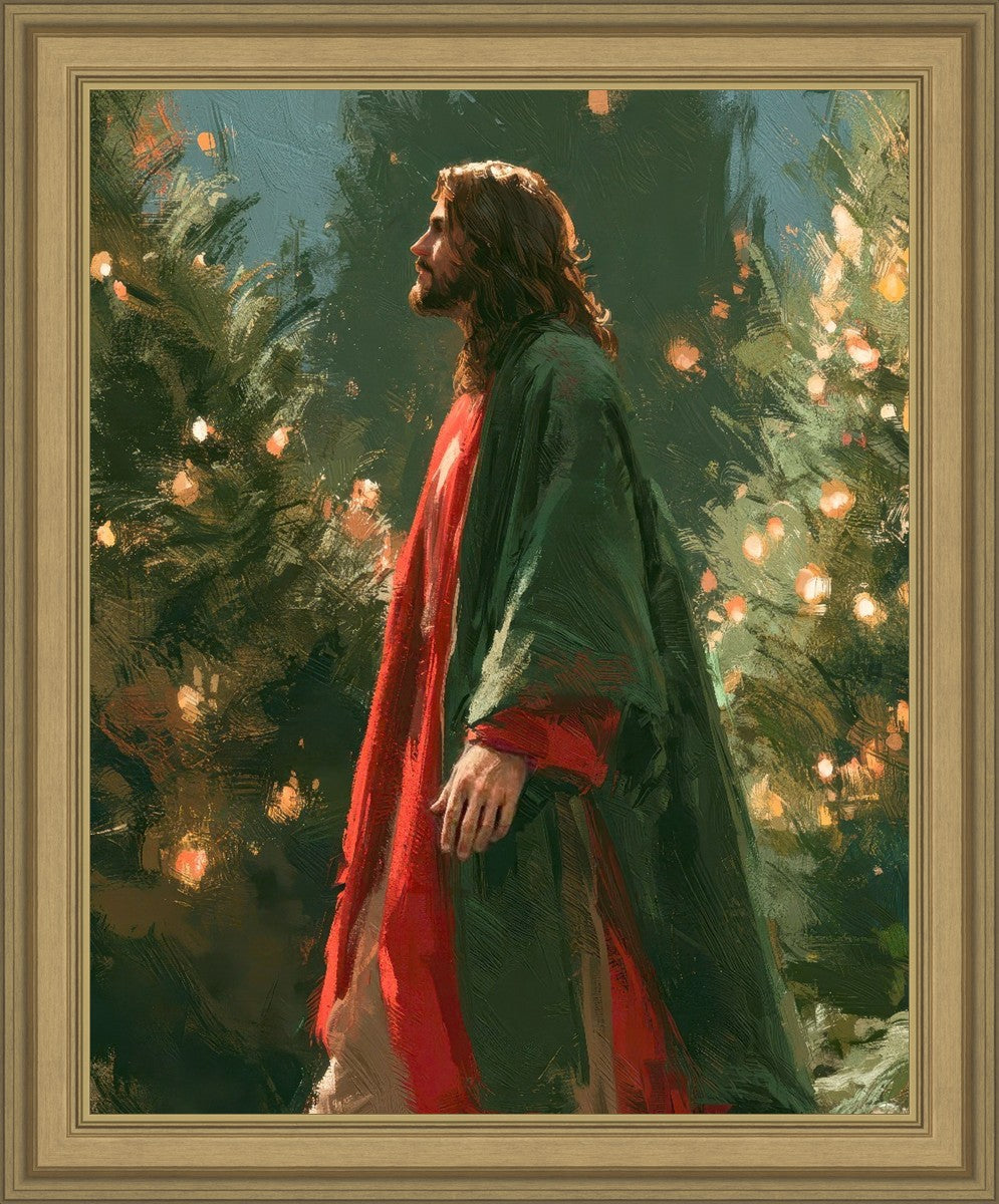 Light of the Season
