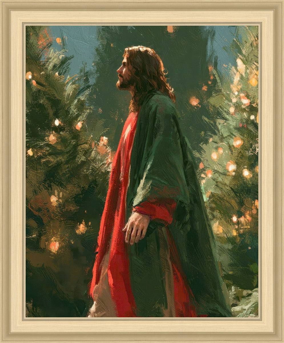 Light of the Season