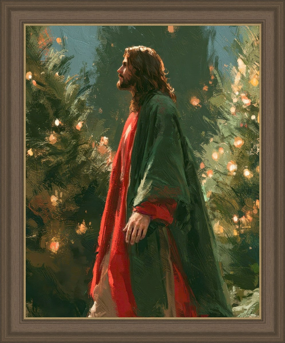 Light of the Season
