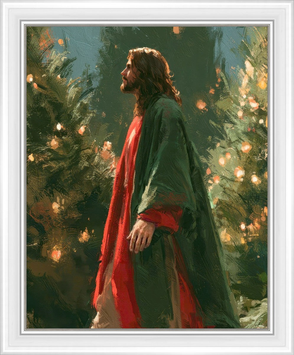 Light of the Season