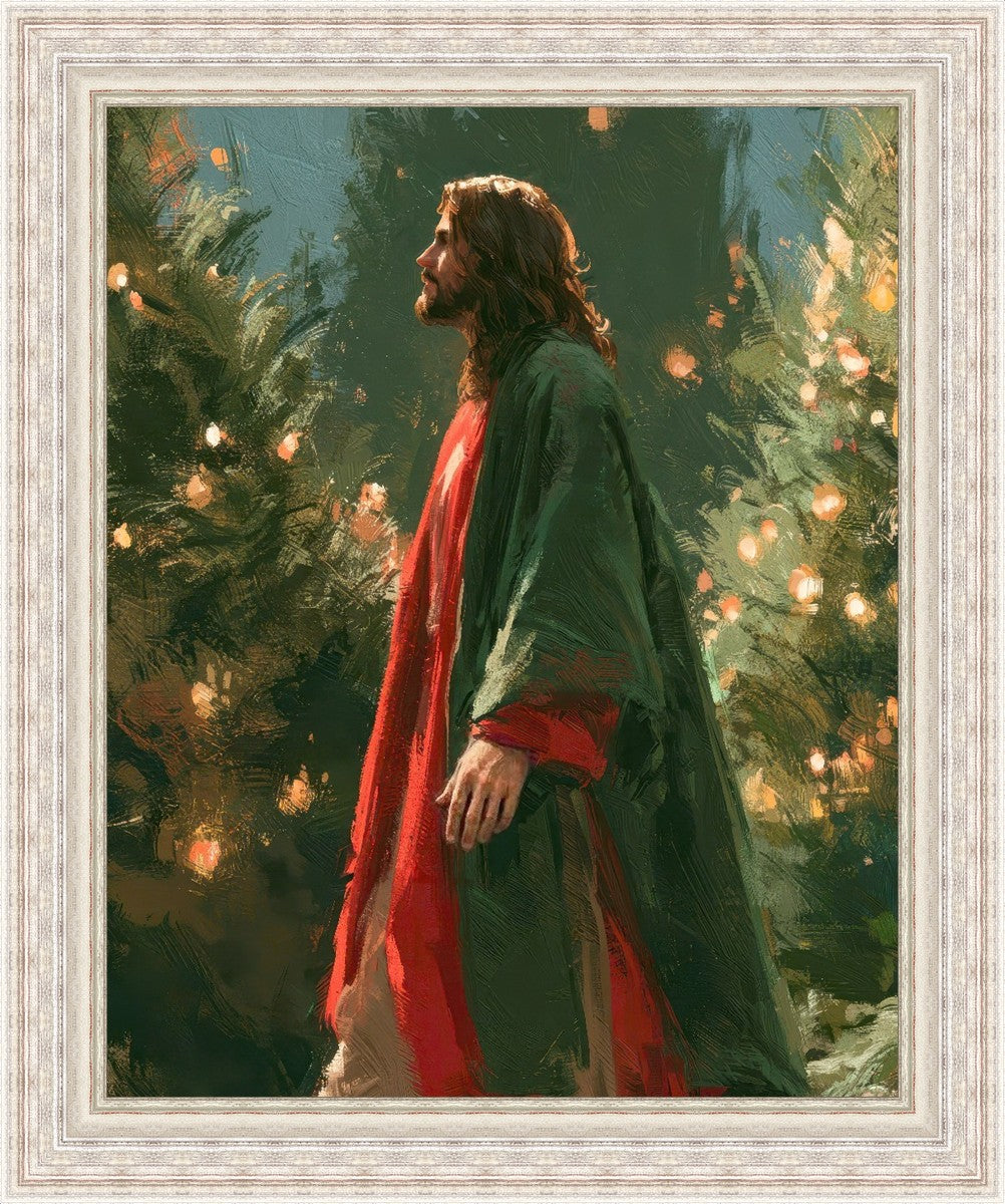 Light of the Season