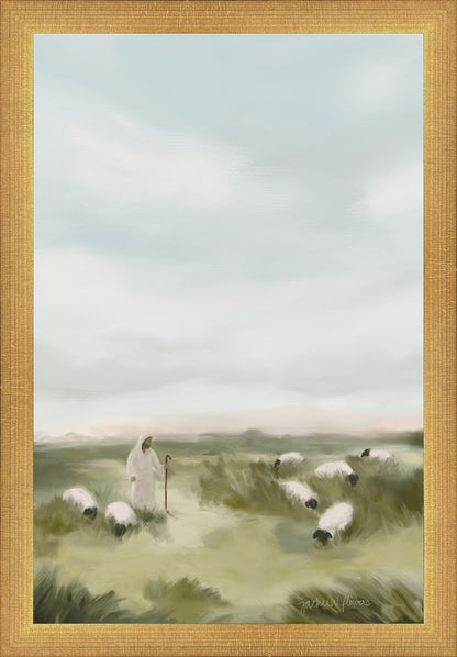 The Pasture He Provides