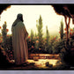 His Ministry Begins