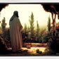 His Ministry Begins