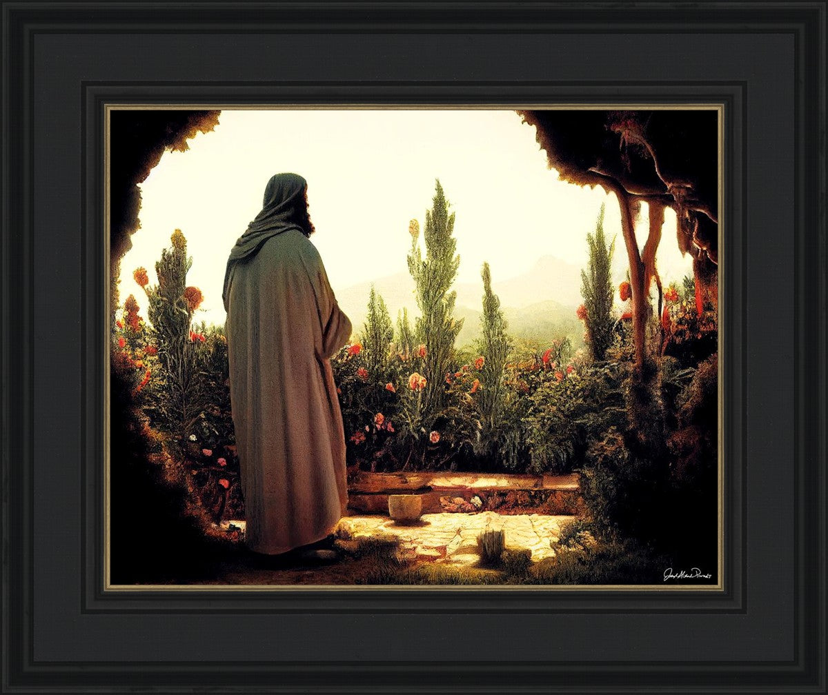 His Ministry Begins