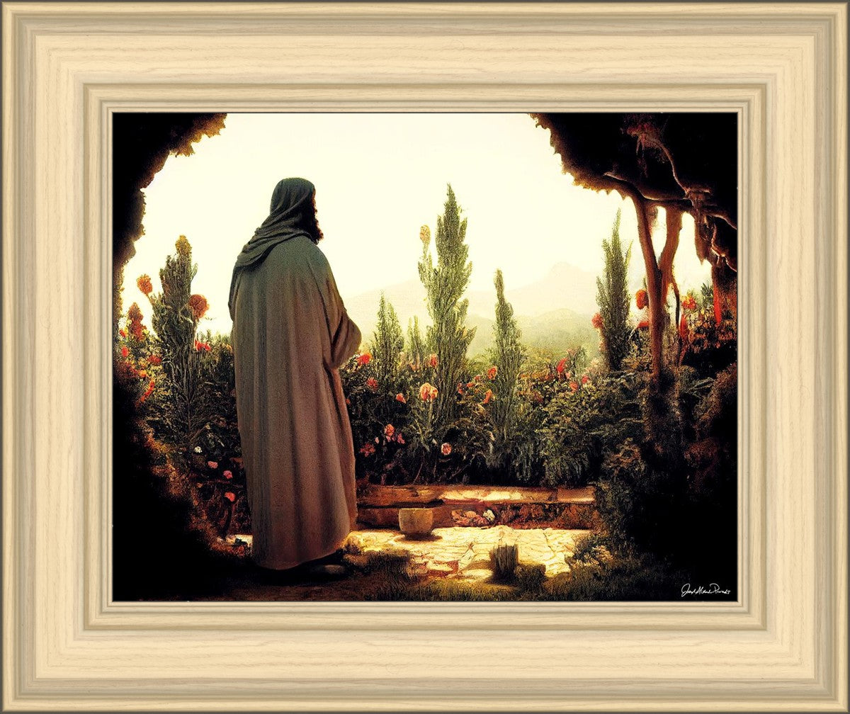 His Ministry Begins