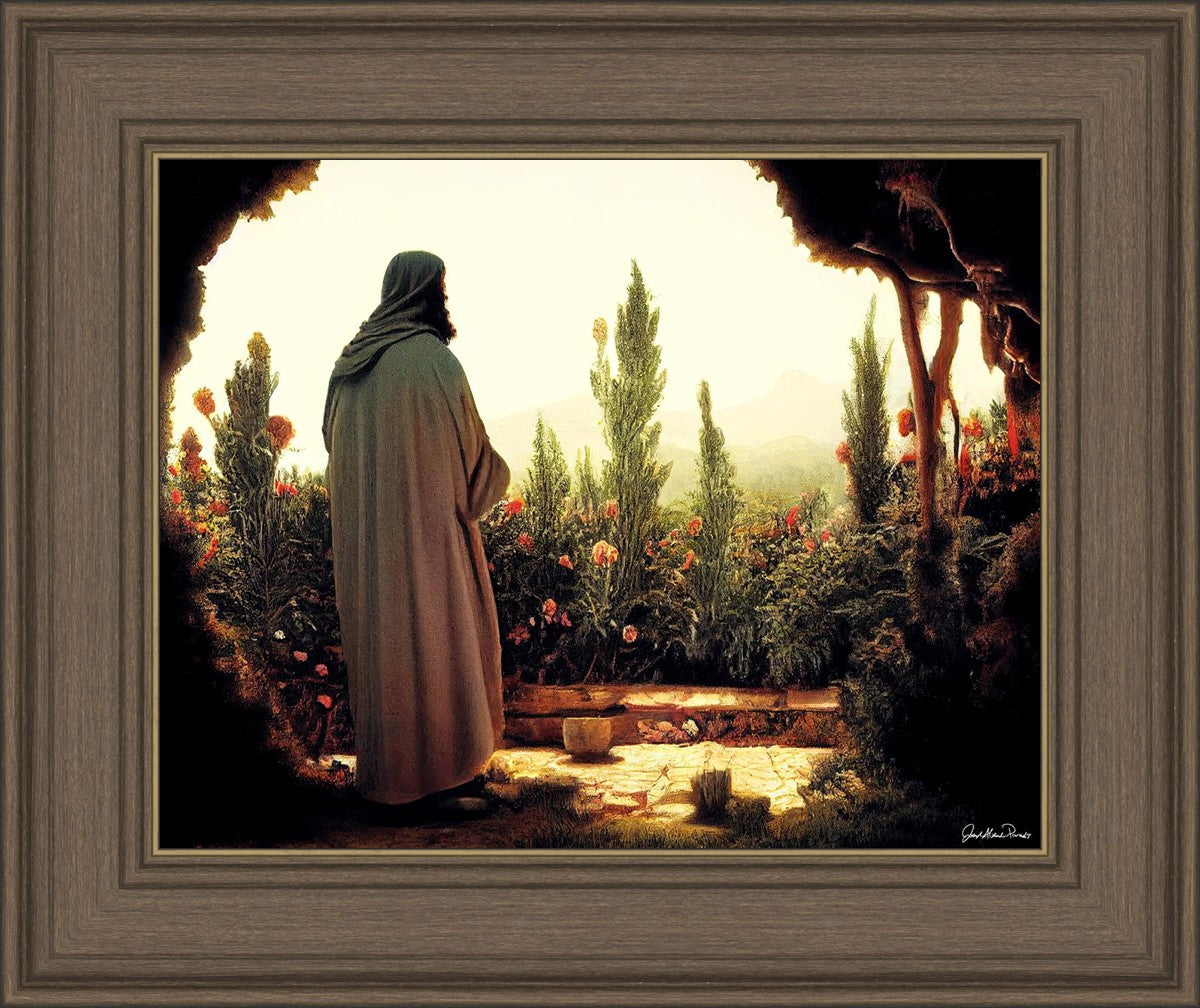 His Ministry Begins