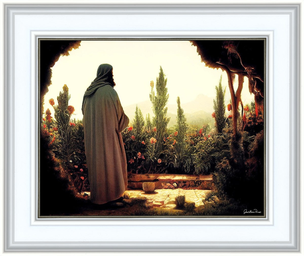 His Ministry Begins