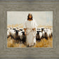 One Flock