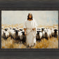 One Flock