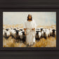 One Flock