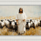 One Flock