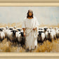 One Flock