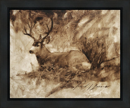 Bedded Buck