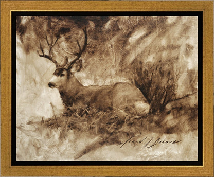 Bedded Buck