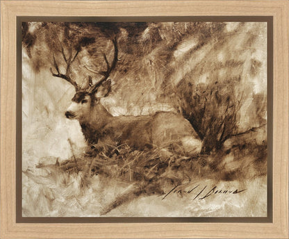Bedded Buck
