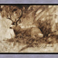 Bedded Buck